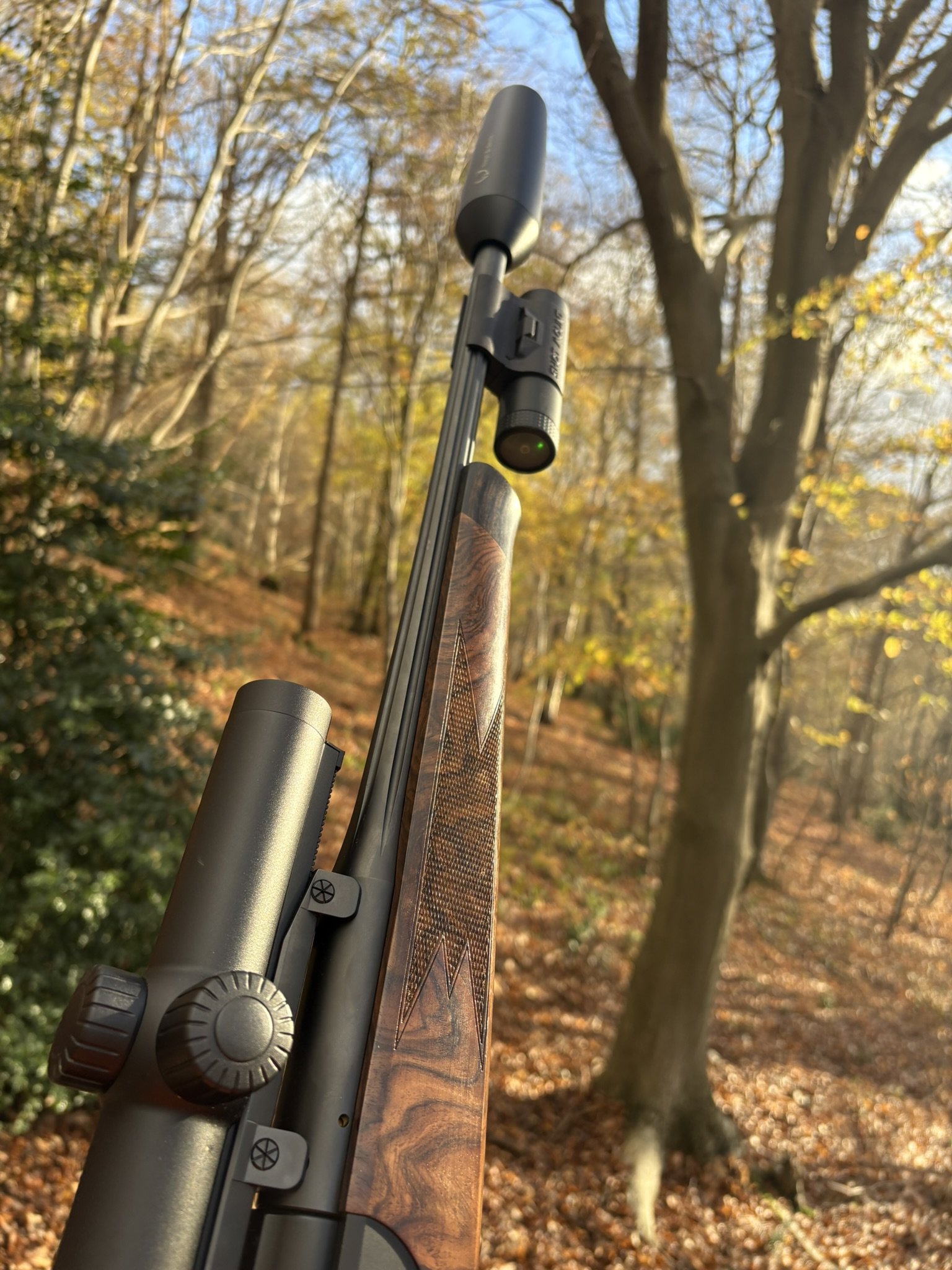 clicSHOT en action en forêt